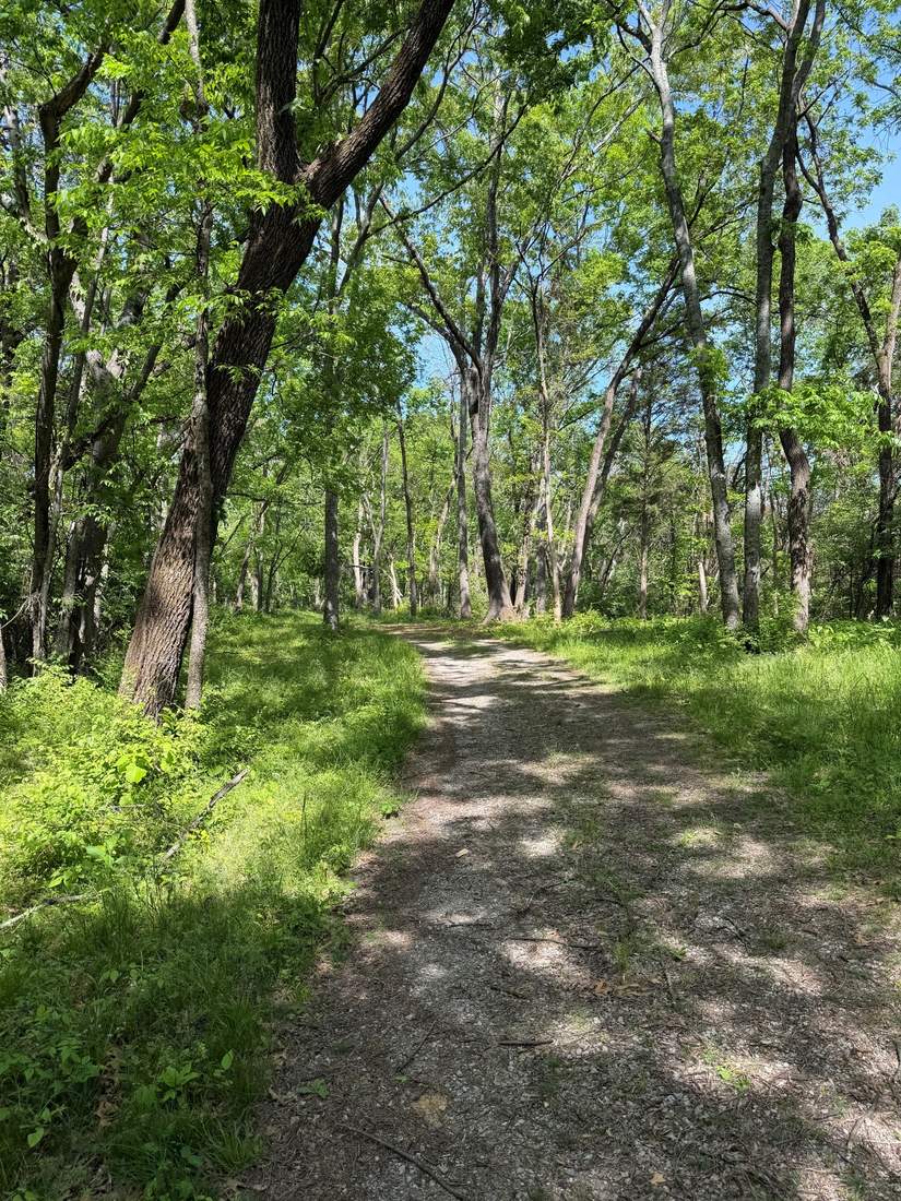 The wooded trail on the property